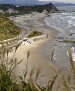 Japonia: Zagrożenie falami tsunami. Ewakuowano blisko 100 tysięcy osób