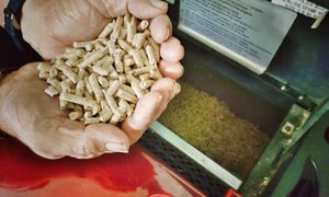 Oszustwo na pellecie. Stracił 20 tys. zł. Policja ostrzega