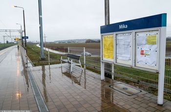 "Nic już nie jest takie samo". Mieszkańcy Miki żyją w strachu