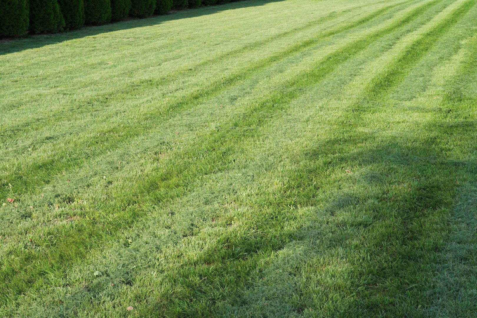 Jak najszybciej zrób to z trawnikiem. Wiosną przetrzesz oczy ze zdumienia