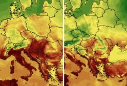 Pogodowa huśtawka w czerwcu. Z dnia na dzień możliwy spadek nawet o 10 st. Celsjusza?