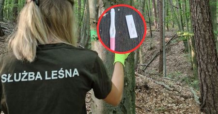 "Prezent" dla leśniczego? To zastali w lesie. Dwa kroki od kosza