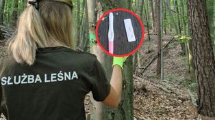 "Prezent" dla leśniczego? To zastali w lesie. Dwa kroki od kosza