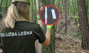 "Prezent" dla leśniczego? To zastali w lesie. Dwa kroki od kosza