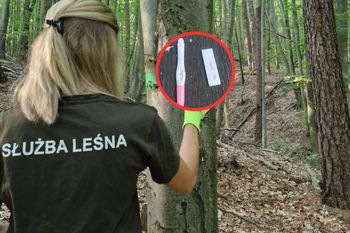 "Prezent" dla leśniczego? To zastali w lesie. Dwa kroki od kosza