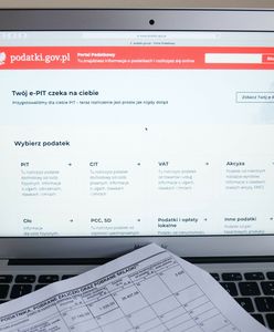 Twój e-PIT nie działa. Resort finansów informuje o awarii