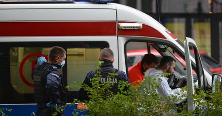 Zawszone, pogryzione przez insekty dzieci. Odbył się proces 44-letniej matki