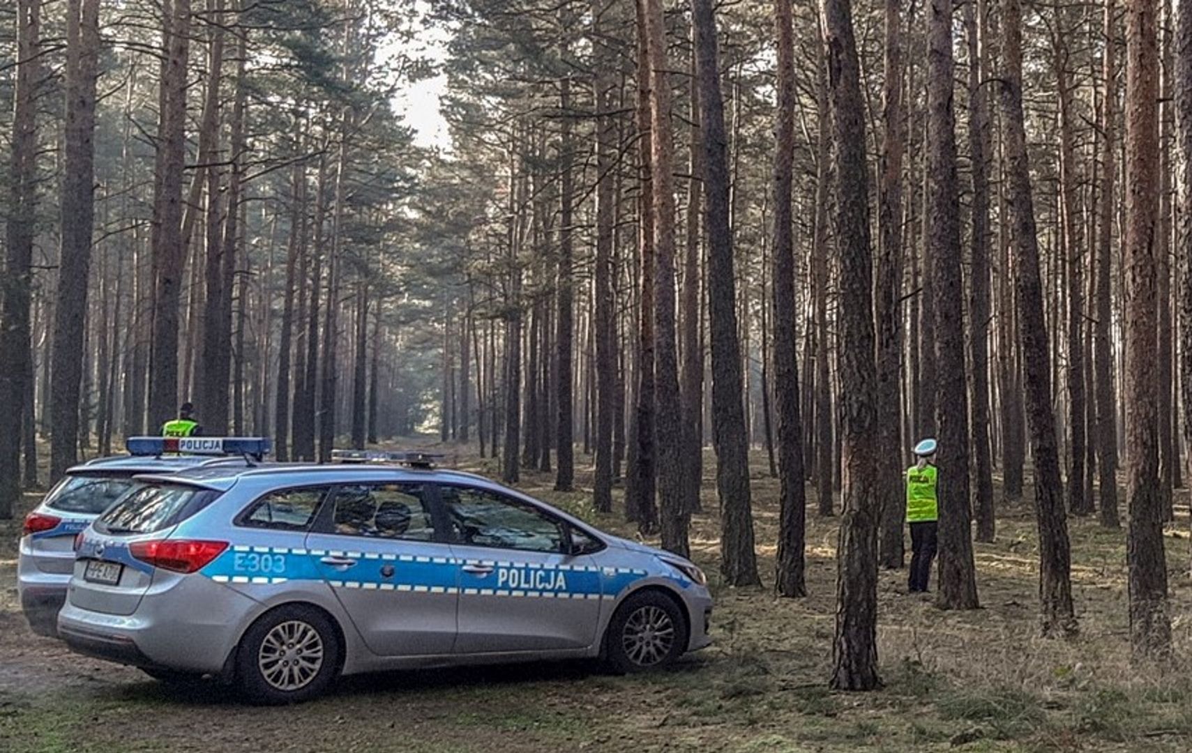 Makabryczne odkrycie w poznańskim lesie. Spacerowicze wezwali policję