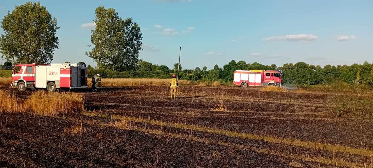 Pożar zboża na pniu w Kobiernikach