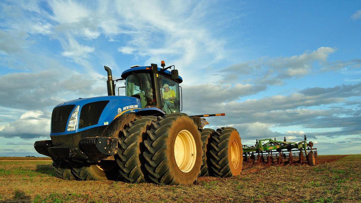 Zdjęcie ilustracyjne