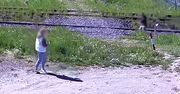 Turyści chcieli zrobić zdjęcie. Posypały się mandaty