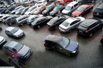 Ekologia w firmie się opłaca. To właśnie biznes może przeprowadzić rewolucję