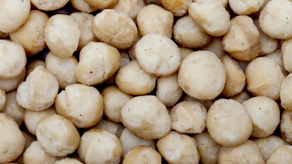 macadamia nuts
Macadamia nuts, isolated on white background.
Kanmu
Australian Nut, Backgrounds, Beige, Brown, Close-up, Directly Above, Food, Food And Drink, Hawaiian Culture, Heap, Ingredient, Isolated, Isolated On White, Macadamia Nut, Macro, Nature, Nature Backgrounds, Nut, Organic, Queensland Nut, Snack, Stack, Studio Isolated, Textured, Vegetarian Food, White, White Background, isolated objects, mackadamia, mackadamias, nutty, shelled, white backround