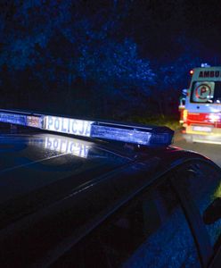 Auto dosłownie wbiło się w drzewo. Rozpadło się na kilka części