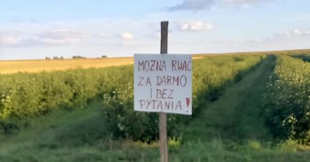 Rolnik wywiesił kartę. Internauci: "Powinien skarbonkę postawić"