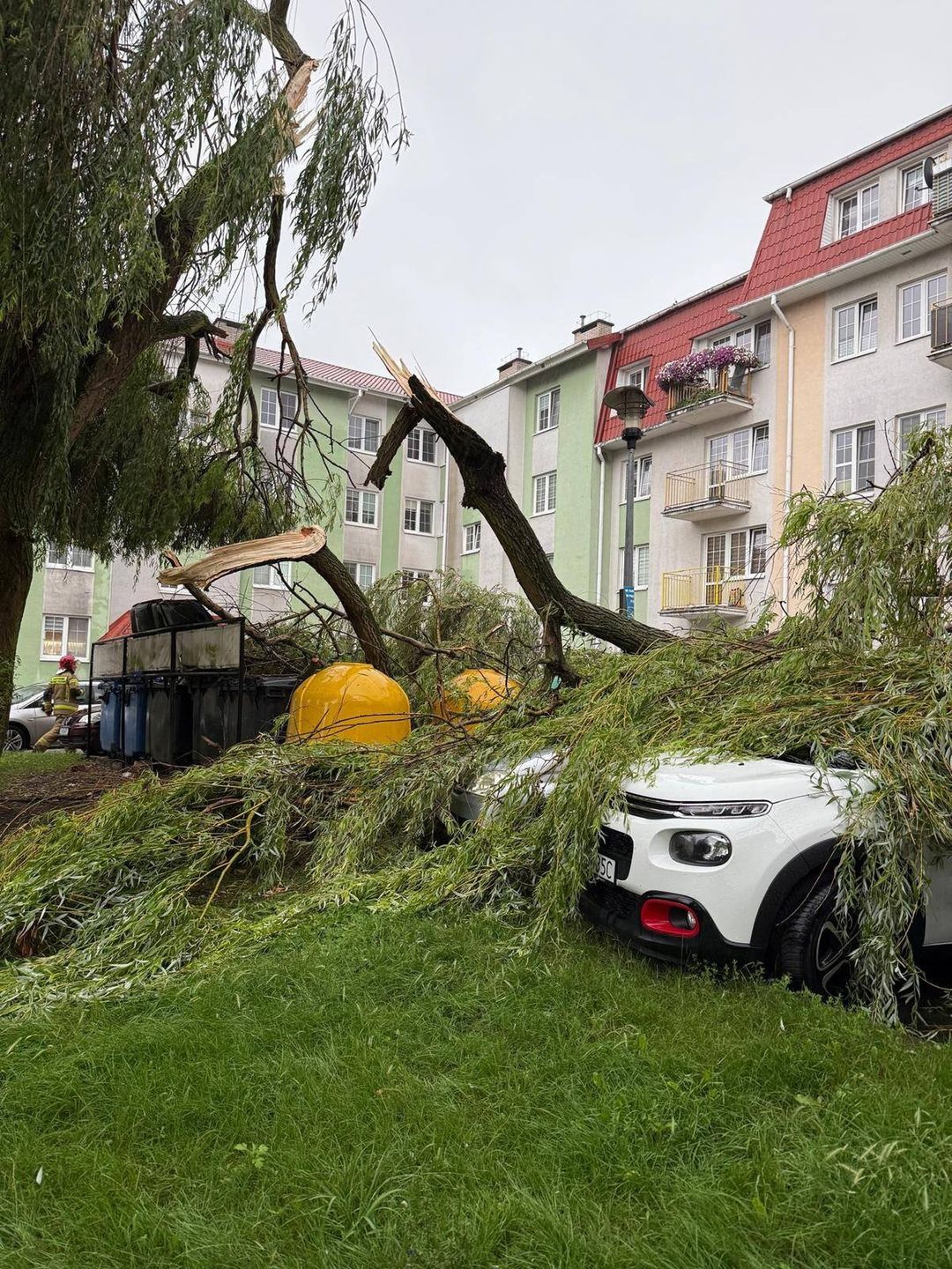 Strażacy z regionu od rana odnotowali kilka interwencji, związanych z frontem atmosferycznym. W Grudziądzu złamany konar drzewa uszkodził kilka zaparkowanych pojazdów