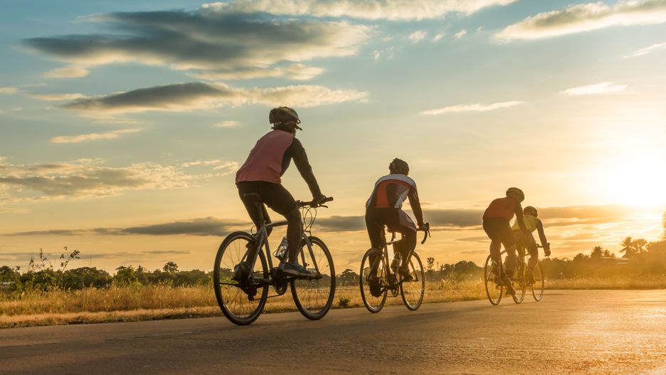 Group of  men ride  bicycles at sunset with sunbeam over silhouette trees background.
bicycle, sunset, sport, man, bike, cyclist, ride, nature, cycle,
