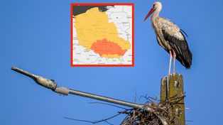 IMGW bije na alarm. Upały do 35 st. C i pomarańczowe alerty na południu kraju