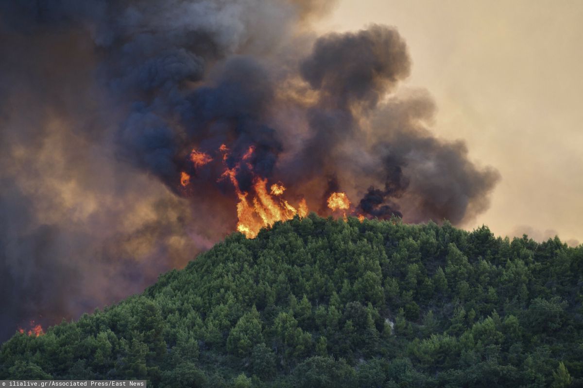 
Porażające dane z Grecji. Pożar pochłonął ogromny obszar