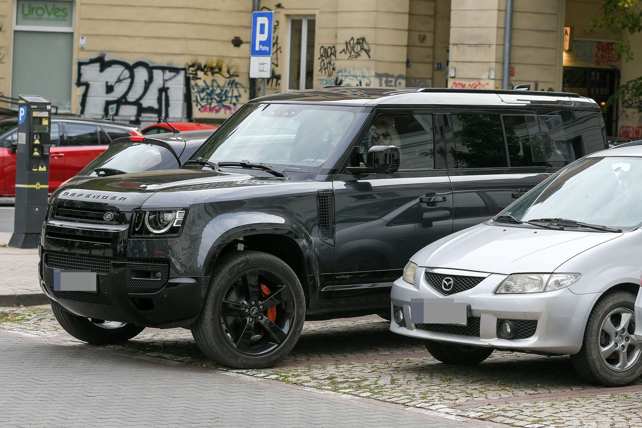 Agnieszka Woźniak-Starak