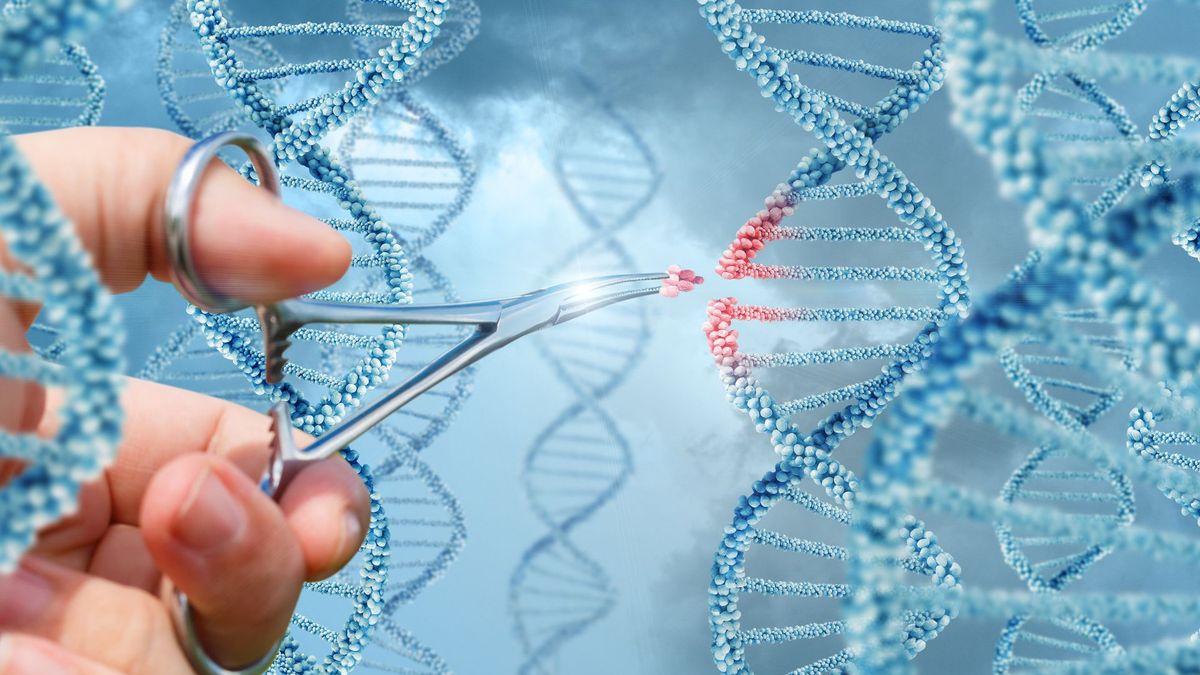 Badania DNA.