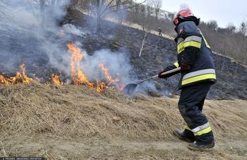 Nawet 30 tys. zł kary. Groźna patologia wciąż popularna w Polsce