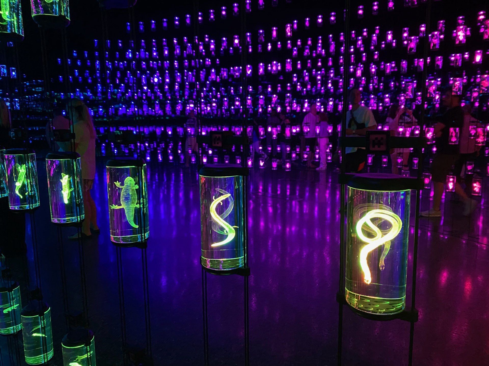 Muzeum Przyszłości w Dubaju 