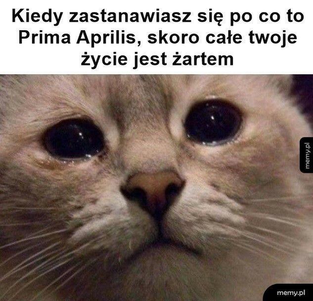 Memy na Prima Aprilis 2026