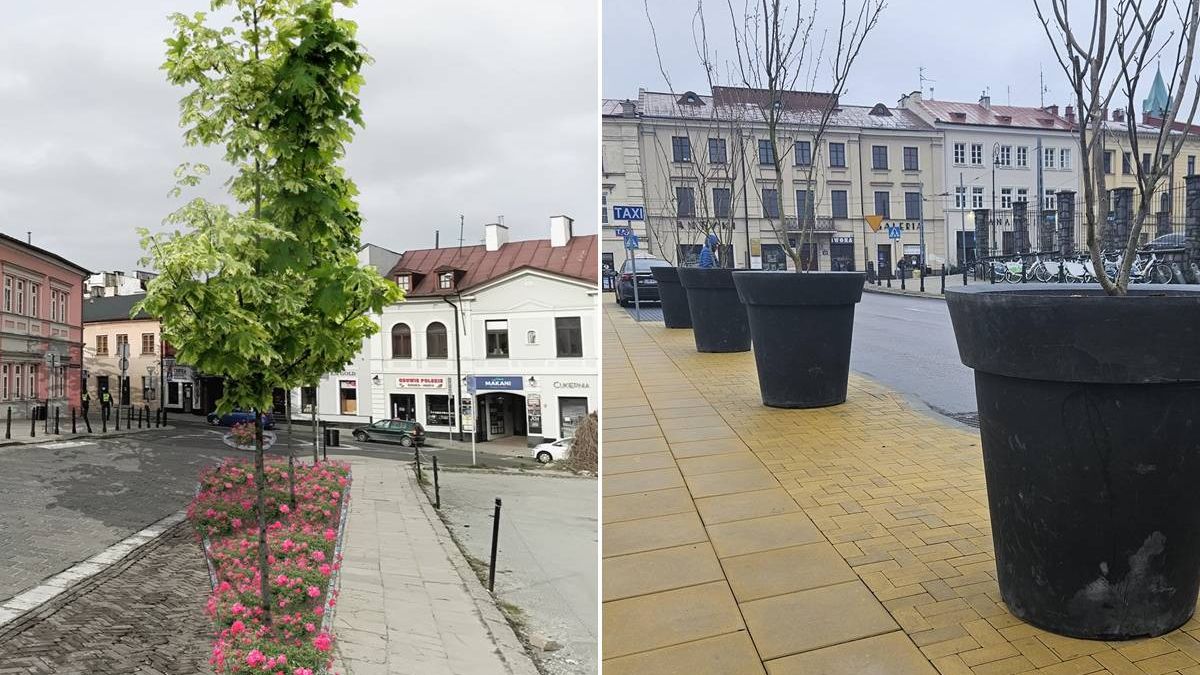 Projektowana zieleń vs. realizacja nasadzeń na ul. Bajkowskiego w Lublinie
