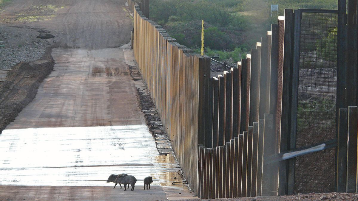 Posłowie zdecydowali. Na granicy polsko-białoruskiej stanie mur (zdjęcie ilustracyjne) 
