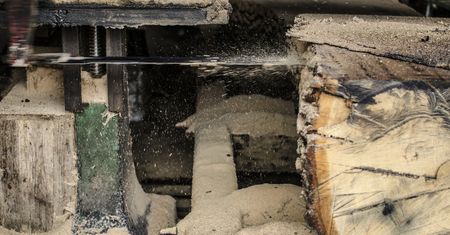 Świdnica. Wycinka olbrzymich drzew w Bystrzycy Dolnej. Mieszkańcy są oburzeni