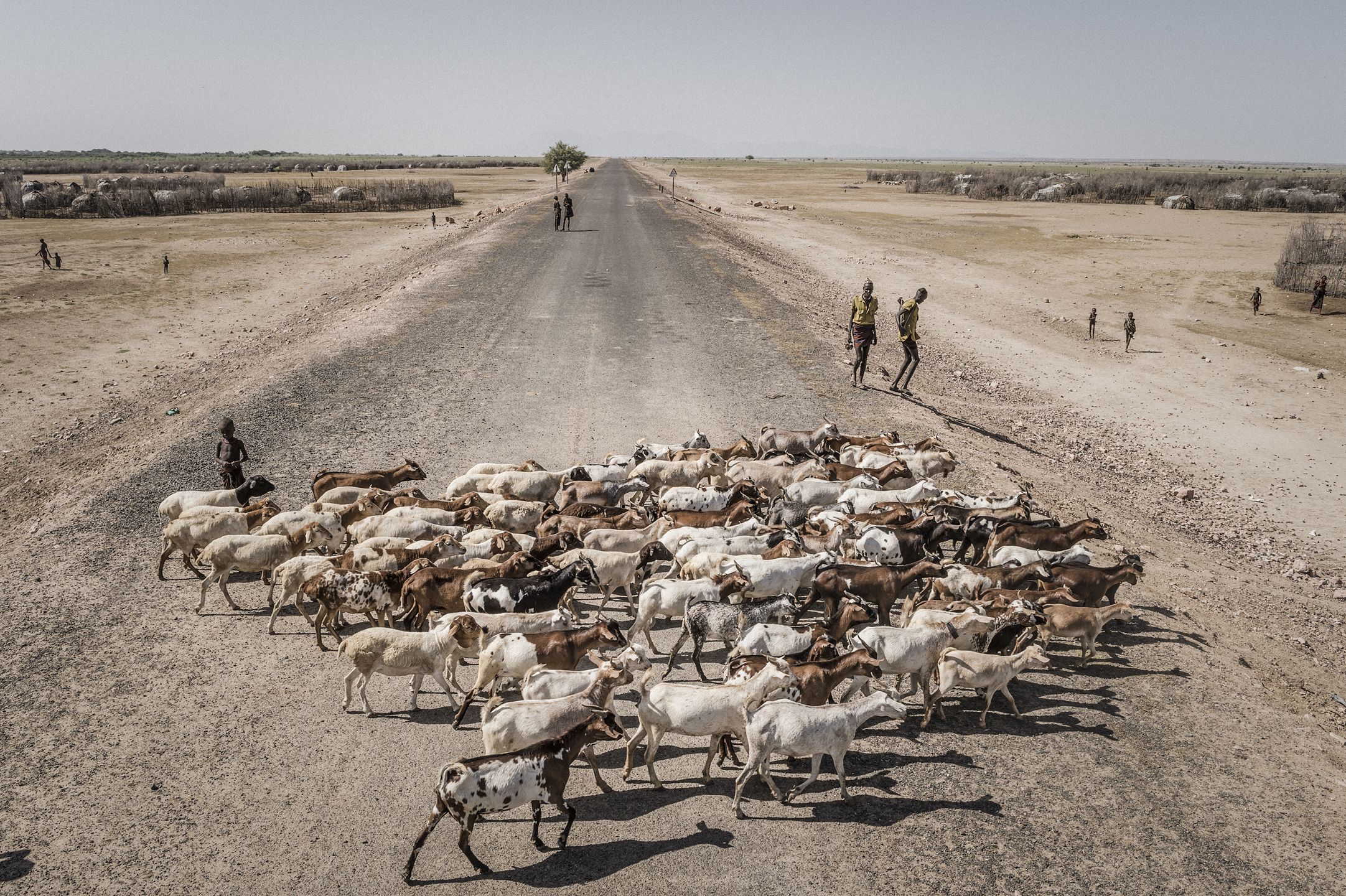 World Press Photo 2018 – znamy nazwiska nominowanych fotografów 72