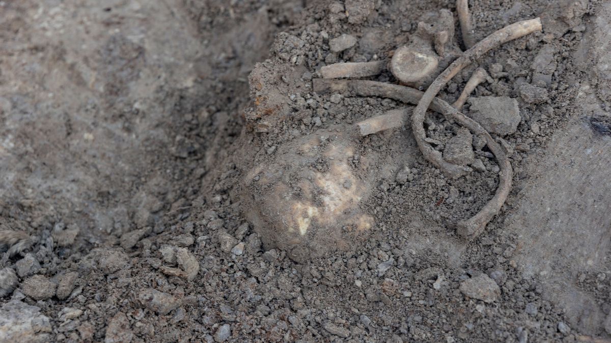 Wykopliska (zdj. ilustracyjne)