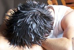 Pracując uciekają od problemów