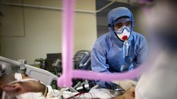 Wirus Borna atakuje w Niemczech. Śmiertelność wynosi aż 90 proc.