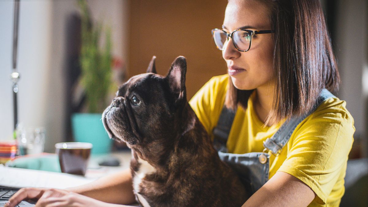 Te psy to mile widziani goście na uniwersytecie 