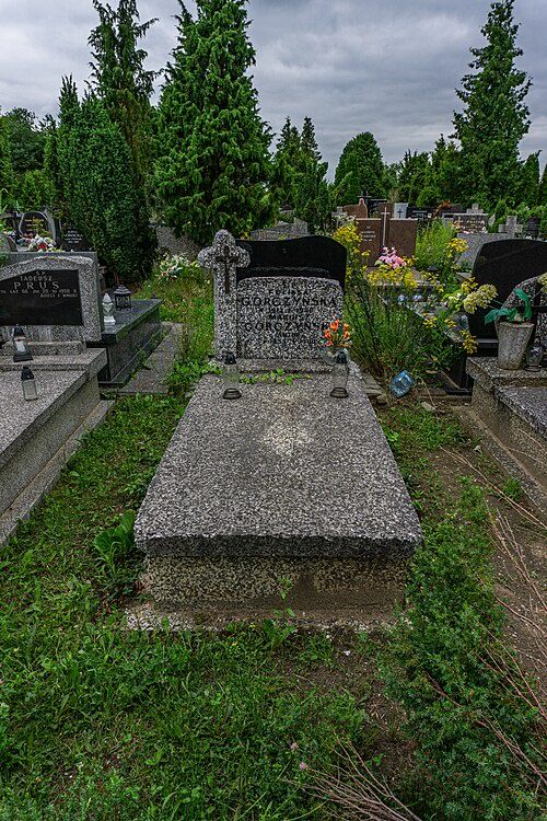 Grób Mariusza Gorczyńskiego na Cmentarzu Północnym