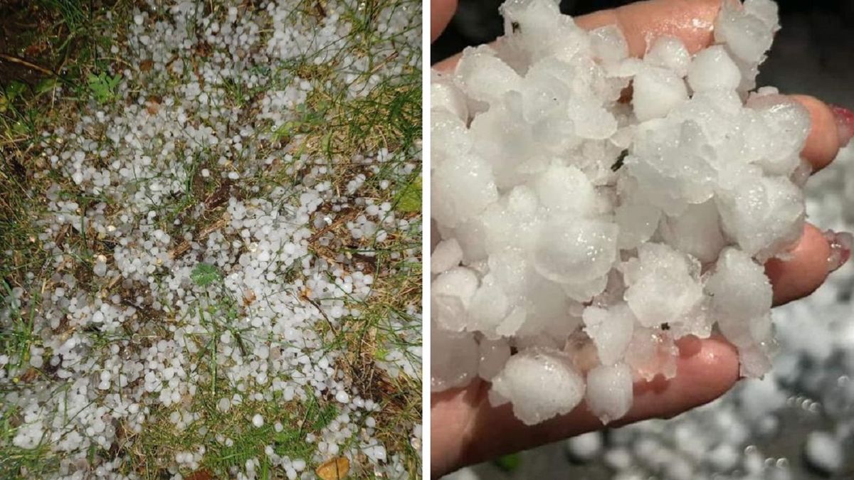 Sadownicy z okolic Opola Lubelskiego liczą straty po olbrzymich opadach gradu.