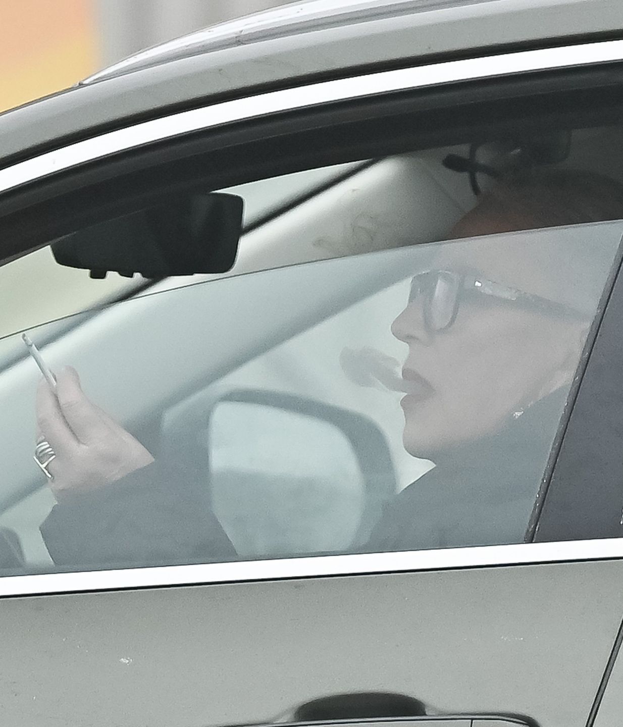 Krystyna Janda w obiektywie paparazzi