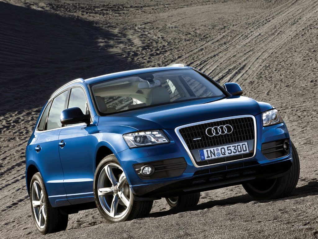 Audi Q5 2008- (fot. v10.pl)