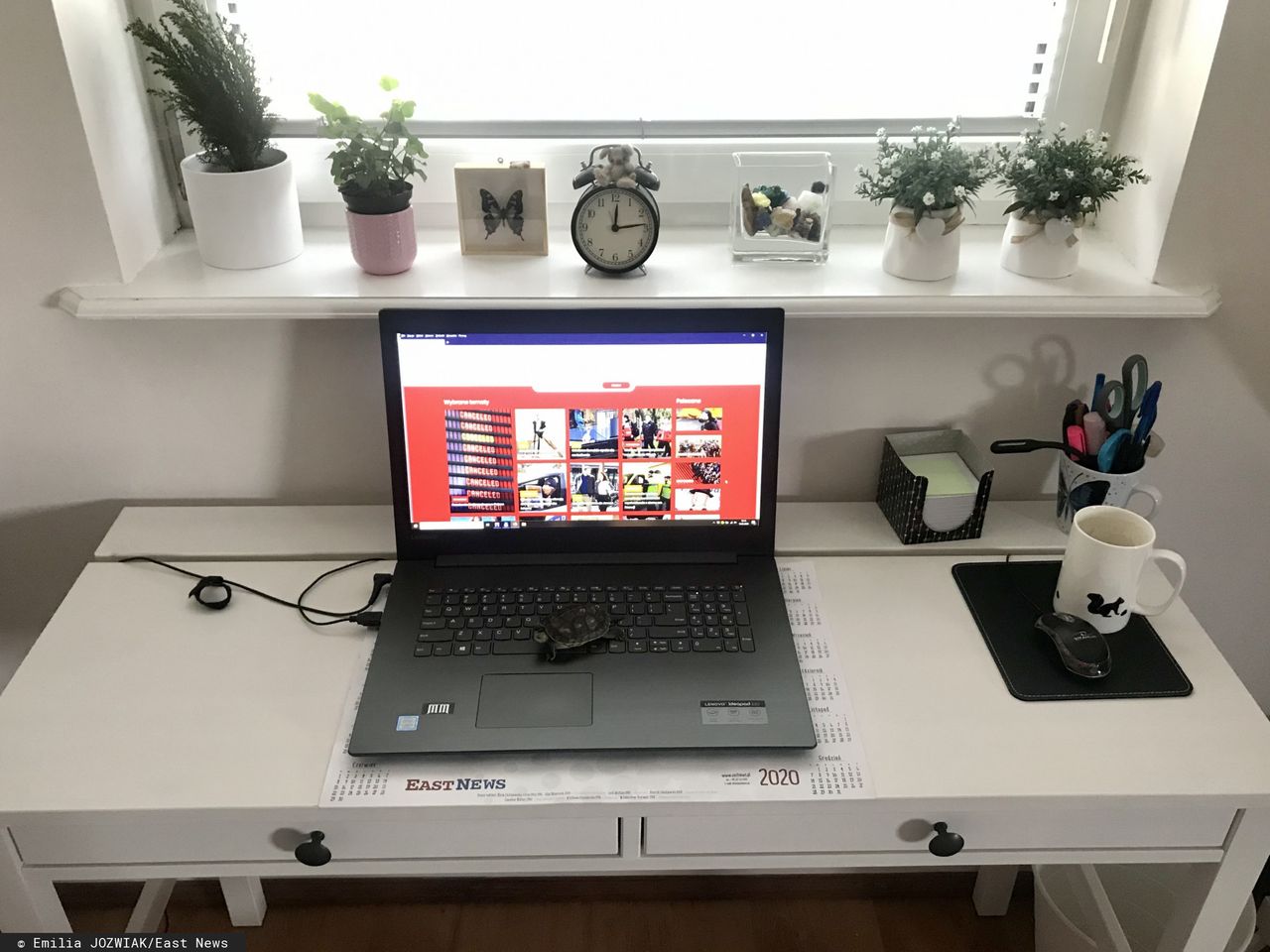 W dobie koronawirusa, Microsoft Teams obsługuje 900 mln połączeń tygodniowo, fot. Emilia JOZWIAK/East News