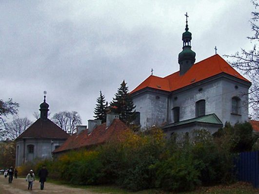 Obraz