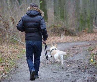 Właścicieli psów czekają zmiany. "Czas skończyć z fikcją"