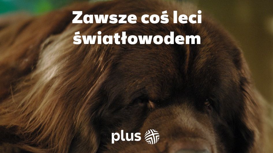Światłowód Plusa