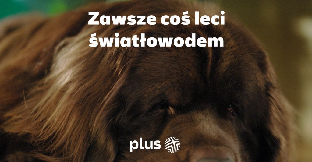 Plus rusza z nową kampanią o światłowodzie