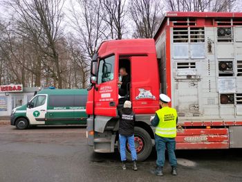Nowe Miasto nad Wartą: Kontrole transportu zwierząt na DK11