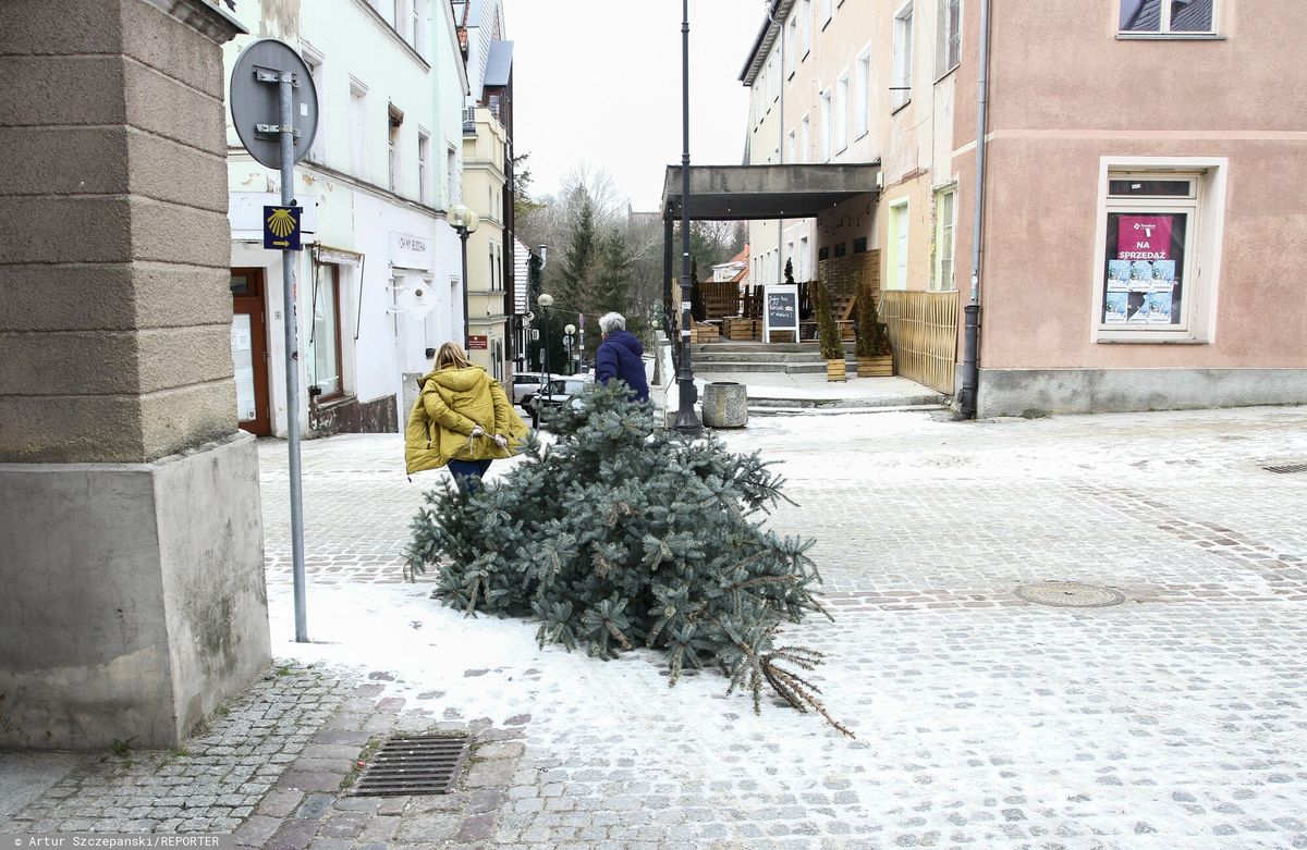 Pogoda na święta. Zaskoczenia nie ma 