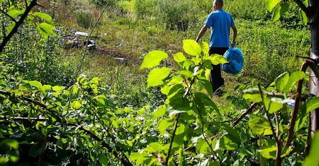 Ujęcie z fotopułapki. "Kolejny sprawca ujawniony"