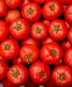 Przebadali pomidory malinowe z dyskontów. Oto tłumaczenie Biedronki