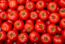 Przebadali pomidory malinowe z dyskontów. Oto tłumaczenie Biedronki